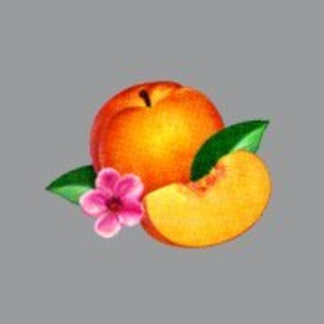 Artist Image Thumbnail